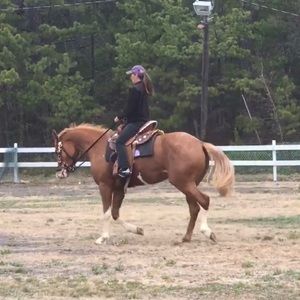 Meet your Posher, Tracey